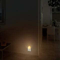 LED Wall Light with Plug-in and Light Control Night Light