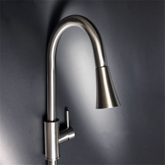 Stainless Steel Rotating Pull-Down Faucet