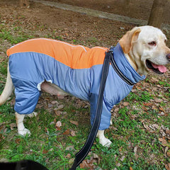 Golden Retriever Cotton Coat for Medium & Large Dogs