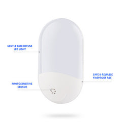 LED Wall Light with Plug-in and Light Control Night Light
