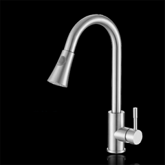 Stainless Steel Rotating Pull-Down Faucet