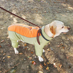 Golden Retriever Cotton Coat for Medium & Large Dogs